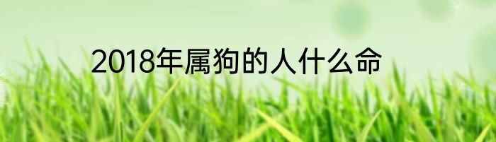 2018年属狗的人什么命