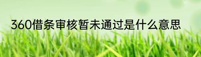 360借条审核暂未通过是什么意思