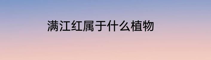满江红属于什么植物