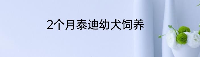 2个月泰迪幼犬饲养