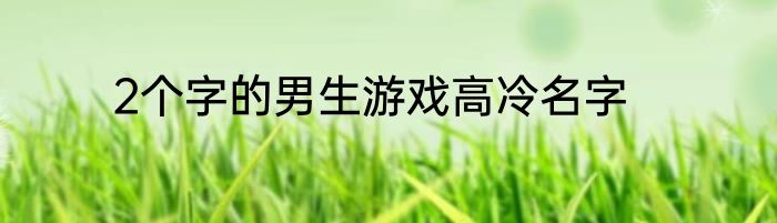 2个字的男生游戏高冷名字