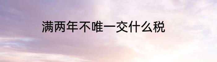 满两年不唯一交什么税