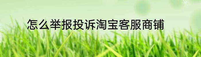怎么举报投诉淘宝客服商铺