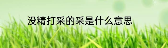没精打采的采是什么意思