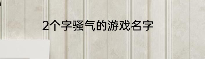 2个字骚气的游戏名字