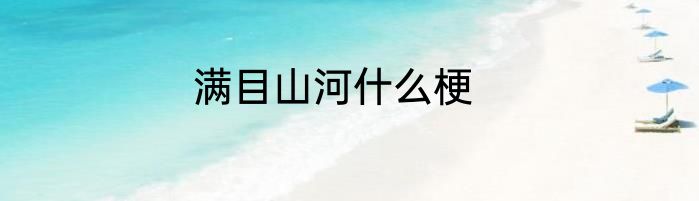 满目山河什么梗
