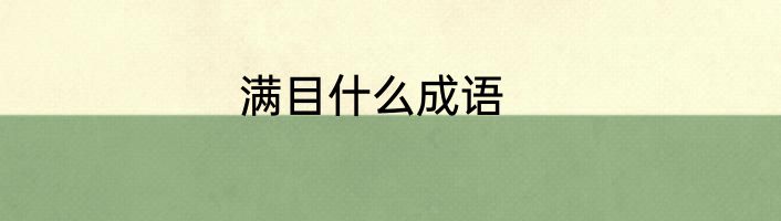 满目什么成语