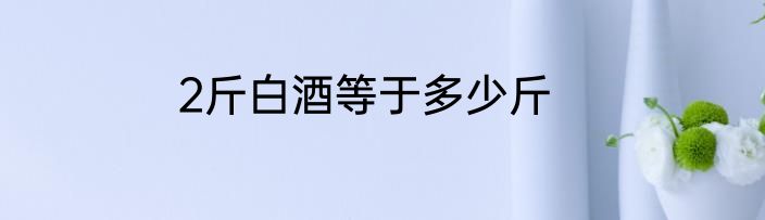 2斤白酒等于多少斤