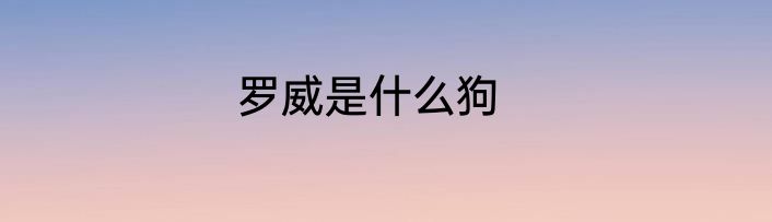 罗威是什么狗