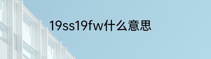 19ss19fw什么意思