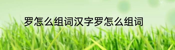 罗怎么组词汉字罗怎么组词