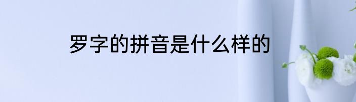 罗字的拼音是什么样的