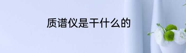 质谱仪是干什么的