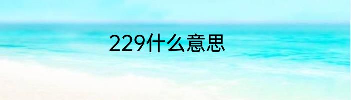 229什么意思