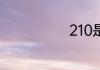 210是多大鞋码