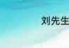 刘先生是什么意思