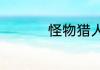 怪物猎人物语道具代码