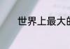 世界上最大的城市是哪个城市