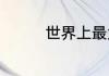 世界上最大的宫殿是哪个