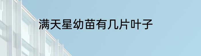 满天星幼苗有几片叶子