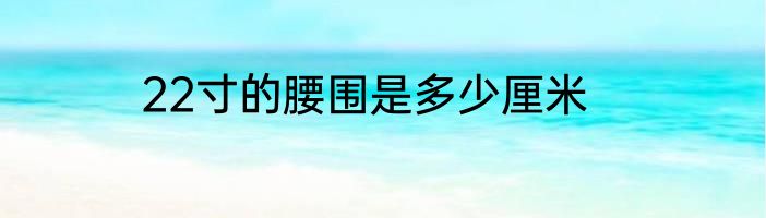 22寸的腰围是多少厘米