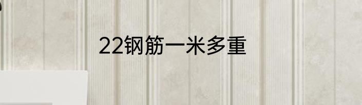 22钢筋一米多重
