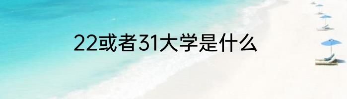 22或者31大学是什么