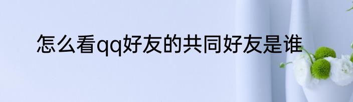 怎么看qq好友的共同好友是谁