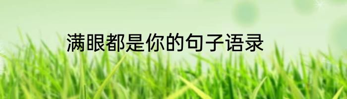 满眼都是你的句子语录