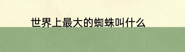 世界上最大的蜘蛛叫什么