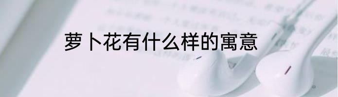 萝卜花有什么样的寓意