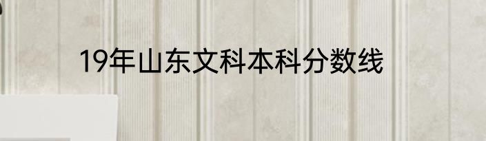 19年山东文科本科分数线