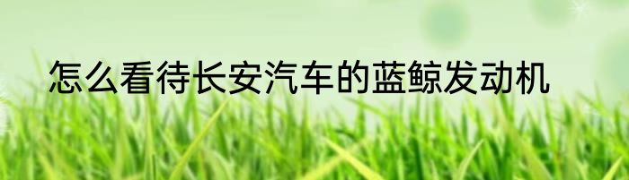 怎么看待长安汽车的蓝鲸发动机