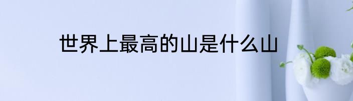 世界上最高的山是什么山