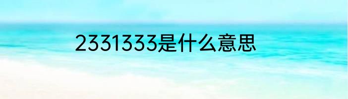 2331333是什么意思