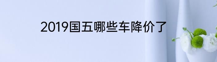 2019国五哪些车降价了