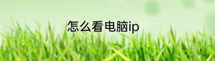 怎么看电脑ip