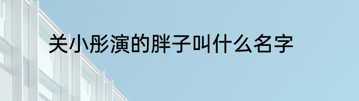 关小彤演的胖子叫什么名字