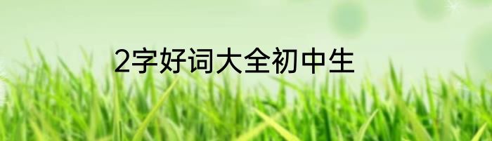2字好词大全初中生