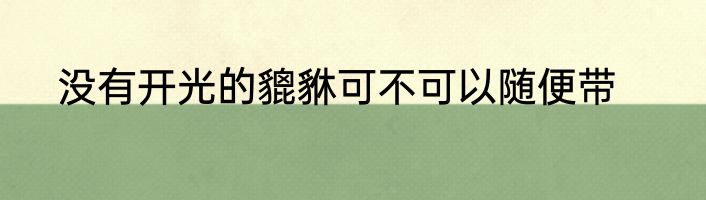 没有开光的貔貅可不可以随便带