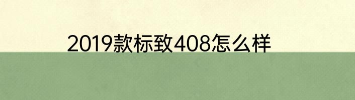 2019款标致408怎么样