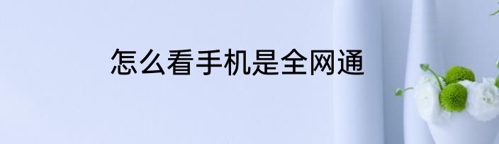 怎么看手机是全网通