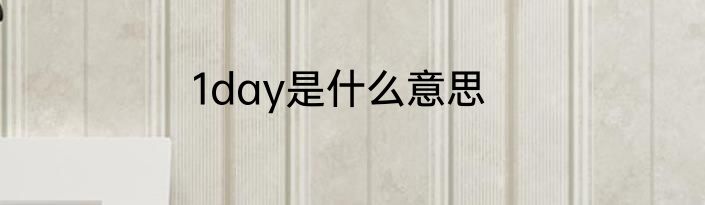 1day是什么意思