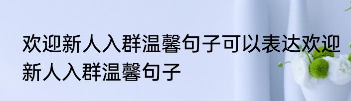欢迎新人入群温馨句子可以表达欢迎新人入群温馨句子