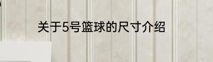 关于5号篮球的尺寸介绍