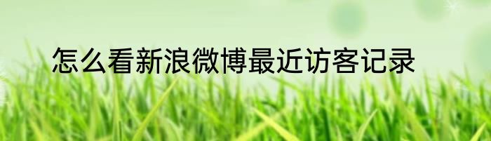 怎么看新浪微博最近访客记录