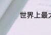 世界上最大的鱼是什么鱼
