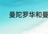 曼陀罗华和曼珠沙华传说的区别