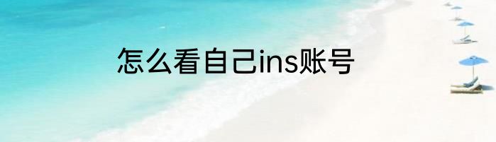 怎么看自己ins账号