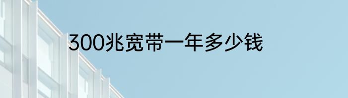300兆宽带一年多少钱